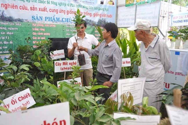 Cần có giải pháp chủ động nguồn giống cây trồng đạt chất lượng (07/02/2018)